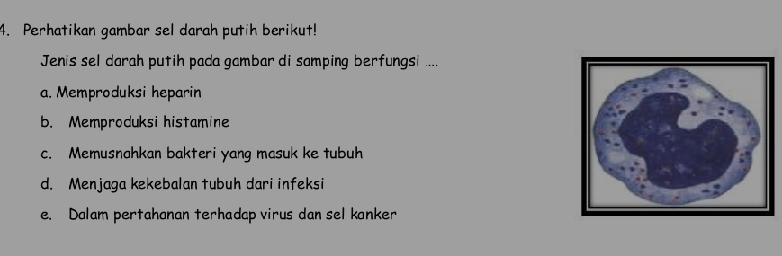 Perhatikan gambar sel darah putih berikut!
Jenis sel darah putih pada gambar di samping berfungsi ....
a. Memproduksi heparin
b. Memproduksi histamine
c. Memusnahkan bakteri yang masuk ke tubuh
d. Menjaga kekebalan tubuh dari infeksi
e. Dalam pertahanan terhadap virus dan sel kanker