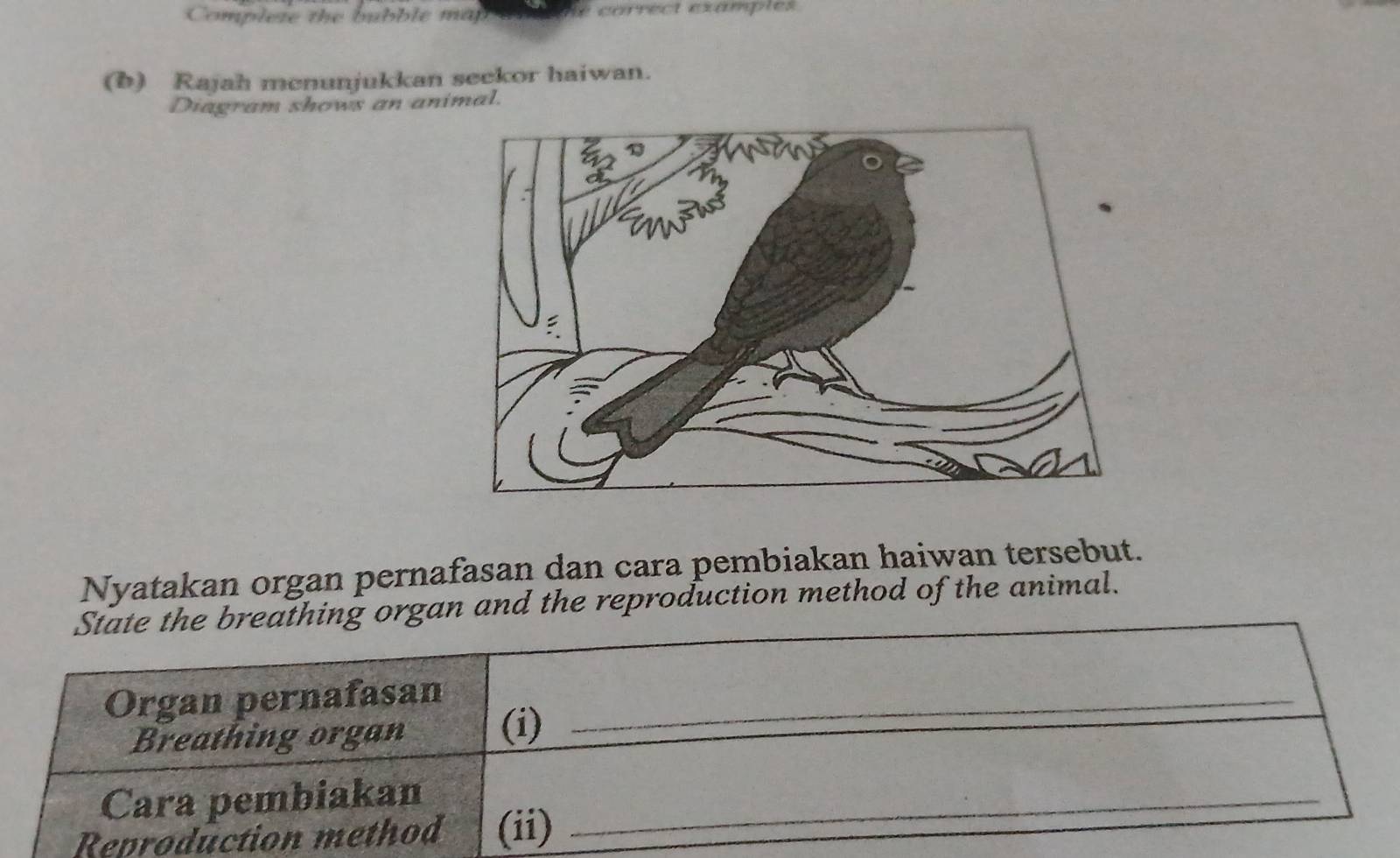 Complete the bubble map correct examples 
a 
(b) Rajah menunjukkan seckor haiwan. 
Diagram shows an animal. 
Nyatakan organ pernafasan dan cara pembiakan haiwan tersebut. 
State the breathing organ and the reproduction method of the animal. 
Organ pernafasan_ 
Breathing organ 
(i) 
Cara pembiakan_ 
Reproduction method (ii)