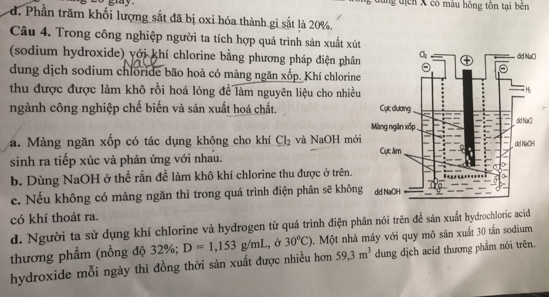 gray .
ng địch X có màu hồng tôn tại bên
d. Phần trăm khối lượng sắt đã bị oxi hóa thành gi sắt là 20%.
Câu 4. Trong công nghiệp người ta tích hợp quá trình sản xuất xút
(sodium hydroxide) với khí chlorine bằng phương pháp điện phân
dung dịch sodium chloride bão hoà có màng ngăn xốp. Khí chlorine
thu được được làm khô rồi hoá lỏng để làm nguyên liệu cho nhiều
ngành công nghiệp chế biến và sản xuất hoá chất.
a. Màng ngăn xốp có tác dụng không cho khí Cl_2 và NaOH mới
sinh ra tiếp xúc và phản ứng với nhau.
b. Dùng NaOH ở thể rắn để làm khô khí chlorine thu được ở trên.
c. Nếu không có màng ngăn thì trong quá trình điện phân sẽ không
có khí thoát ra.
d. Người ta sử dụng khí chlorine và hydrogen từ quá trình điện phân nói trên để sản xuất hydrochloric acid
thương phẩm (nồng độ 32%; D=1,153g/mL , ở 30^oC). Một nhà máy với quy mô sản xuất 30 tấn sodium
hydroxide mỗi ngày thì đồng thời sản xuất được nhiều hơn 59,3m^3 dung dịch acid thương phẩm nói trên.