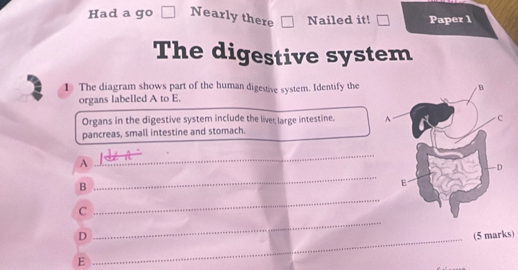 Had a go Nearly there Nailed it! Paper 1 
The digestive system 
1 The diagram shows part of the human digestive system. Identify the 
organs labelled A to E. 
Organs in the digestive system include the liver large intestine, 
pancreas, small intestine and stomach. 
A 
_ 
_ 
B 
_ 
C 
_ 
D 
E _(5 marks)