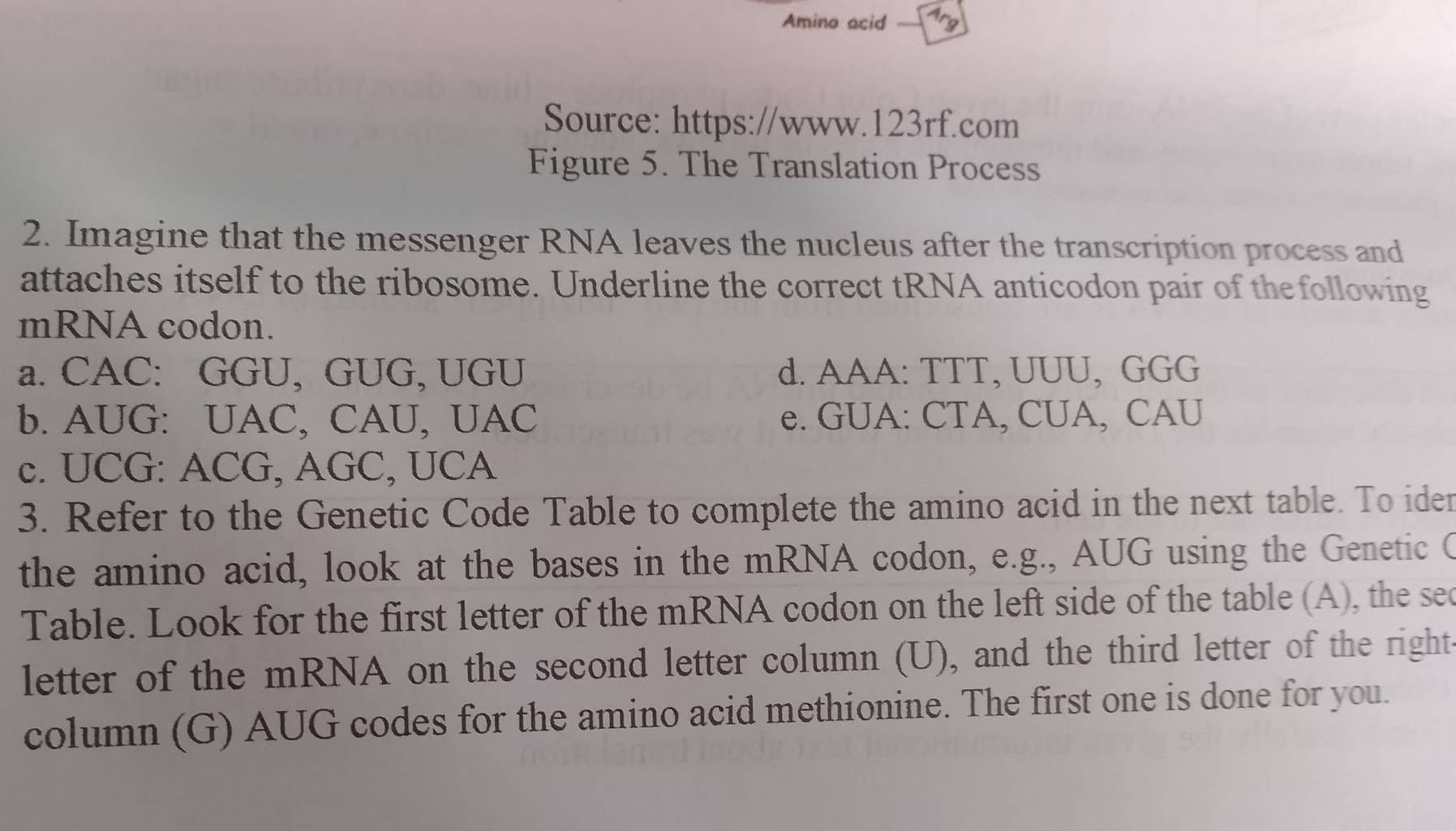 Amino acid 
Source: https://www.123rf.com
Figure 5. The Translation Process
2. Imagine that the messenger RNA leaves the nucleus after the transcription process and
attaches itself to the ribosome. Underline the correct tRNA anticodon pair of thefollowing
mRNA codon.
a. CAC: GGU, GUG, UGU d. AAA: TTT, UUU, GGG
b. AUG: UAC, CAU, UAC e. GUA: CTA, CUA, CAU
c. UCG: ACG, AGC, UCA
3. Refer to the Genetic Code Table to complete the amino acid in the next table. To ider
the amino acid, look at the bases in the mRNA codon, e.g., AUG using the Genetic C
Table. Look for the first letter of the mRNA codon on the left side of the table (A), the sec
letter of the mRNA on the second letter column (U), and the third letter of the rights
column (G) AUG codes for the amino acid methionine. The first one is done for you.