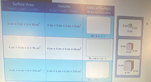 Surface
2cm□ _2cm
cm
cm 4 cmm
m 6 cm
216/216=1:1