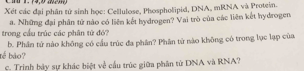 Cau 1. (4,0 điểm) 
Xét các đại phân tử sinh học: Cellulose, Phospholipid, DNA, mRNA và Protein. 
a. Những đại phân tử nào có liên kết hydrogen? Vai trò của các liên kết hydrogen 
trong cấu trúc các phân tử đó? 
b. Phân tử nào không có cấu trúc đa phân? Phân tử nào không có trong lục lạp của 
tế bào? 
c. Trình bày sự khác biệt về cấu trúc giữa phân tử DNA và RNA?