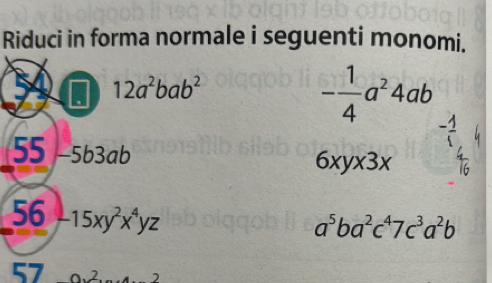 Riduci in forma normale i seguenti monomi. 
54 12a^2bab^2
- 1/4 a^24ab
55 5b3ab
6xyx3x
56 -15xy^2x^4yz
a^5ba^2c^47c^3a^2b
57 0v^2