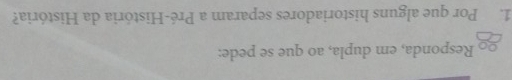 Responda, em dupla, ao que se pede: 
1. Por que alguns historiadores separam a Pré-História da História?