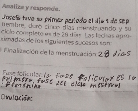 Analiza y responde. 
Josefa tuva su ner períado el dían de sep 
tiembre, duró cinco días menstruando y su 
ciclo completo es de 28 días. Las fechas apro- 
ximadas de los siguientes sucesos son: 
Finalización de la menstruación: 
_ 
Fase folicular: I 
O rulación: