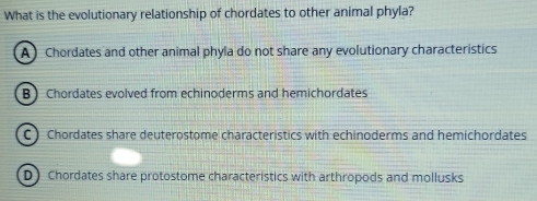 What is the evolutionary relationship of chordates to other animal phyla?
A) Chordates and other animal phyla do not share any evolutionary characteristics
B Chordates evolved from echinoderms and hemichordates
C) Chordates share deuterostome characteristics with echinoderms and hemichordates
D) Chordates share protostome characteristics with arthropods and mollusks