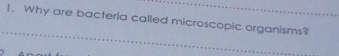 Why are bacteria called microscopic organisms?