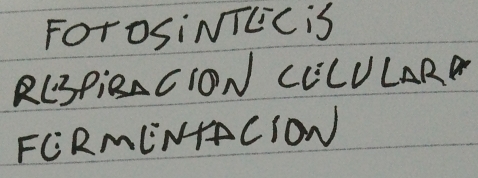 ForosiNTEC iS 
R(BPiB CION CCLULARD 
FCRMINACION