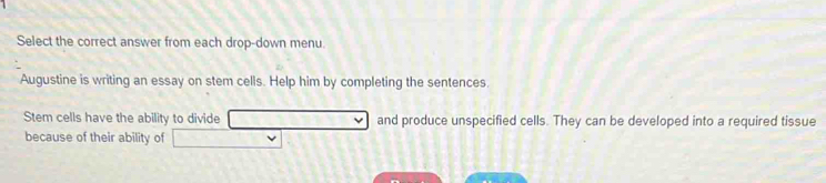 Select the correct answer from each drop-down menu 
Augustine is writing an essay on stem cells. Help him by completing the sentences. 
Stem cells have the ability to divide and produce unspecified cells. They can be developed into a required tissue 
because of their ability of