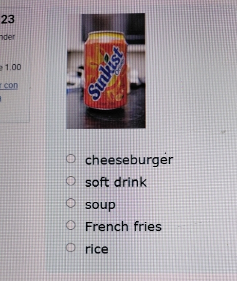 nder 
e 1.00
r con 
cheeseburger 
soft drink 
soup 
French fries 
rice