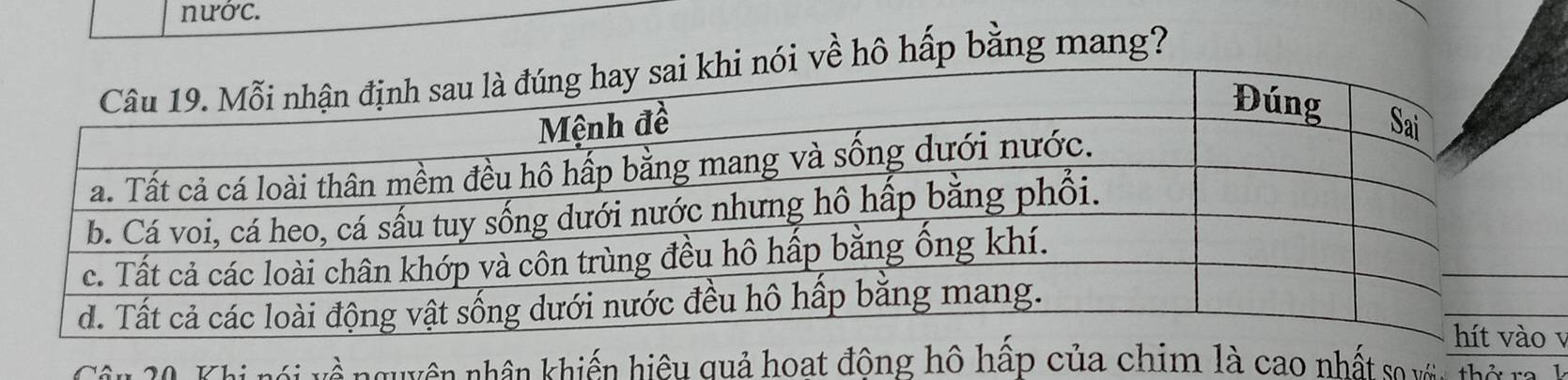 nước. 
i về hô hấp bằng mang? 
v 
Cn 20 Khi nói về nguyên nhân khiến hiệu quả hoạt động hô hấp của chim là cao nhất so vớn thờ ra h