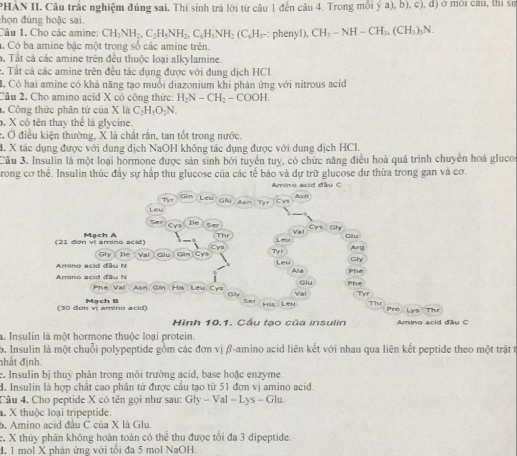 PHAN II. Câu trắc nghiệm đúng sai. Thí sinh trả lời từ câu 1 đến câu 4. Trong mỗi ý a), b), c), d) ở mới cầu, thi sư
chọn đúng hoặc sai.
Câu 1. Cho các amine: CH_3NH_2,C_2H_5NH_2,C_6H_5NH_2(C_6H_5-:phenyI),CH_3-NH-CH_3,(CH_3)_3N.. Có ba amine bậc một trong số các amine trên.
b. Tất cả các amine trên đều thuộc loại alkylamine.
c. Tất cả các amine trên đều tác dụng được với dung dịch HCl.
đ. Có hai amine có khả năng tạo muổi diazonium khi phản ứng với nitrous acid
Câu 2, Cho amino acid X có công thức: H_2N-CH_2-COOH.. Công thức phân tử của X là C_2H_5O_2N.
b. X có tên thay thể là glycine.
c. Ở điều kiện thường, X là chất rắn, tan tốt trong nước.
d. X tác dụng được với dung dịch NaOH không tác dụng được với dung dịch HCl.
Câu 3. Insulin là một loại hormone được sản sinh bởi tuyển tuy, có chức năng điều hoà quá trình chuyển hoá glucos
rong cơ thể. Insulin thúc đầy sự hấp thu glucose của các tế bào và dự trữ glucose dư thừa trong gan và cơ.
Amino acid đầu C
Tyr Gin Leu
Asn
Glu Asn Tyr Cys
Leu
Ile
Ser Cys Ser Cys Gly
Val
Mạch A Thr Giu
(21 đơn vi amino acid) Leu
Cys
Gly Ile Val  Glu Gin Cys Ty r Arg
Amino acid đầu N Leu
Gly
Ala Phe
Amino acid đầu N
Phe Val Asn GIn His Leu Cys Giu Phe
Gly Val Tyr
Mạch B Ser
(30 đơn vị amino acid) His Leu Thr Pro Lys Thr
Hình 10.1. Cầu tạo của insulin Amino acid đầu C
à. Insulin là một hormone thuộc loại protein.
b. Insulin là một chuỗi polypeptide gồm các đơn vị β-amino acid liên kết với nhau qua liên kết peptide theo một trật t
nhất định.
e. Insulin bị thuỷ phân trong môi trường acid, base hoặc enzyme.
d. Insulin là hợp chất cao phân từ được cấu tạo từ 51 đơn vị amino acid.
Câu 4. Cho peptide X có tên gọi như sau: GIy - Val - Lys - Glu.
a. X thuộc loại tripeptide.
b. Amino acid đầu C của X là Glu.
c. X thủy phân không hoàn toàn có thể thu được tối đa 3 dipeptide.
đ. 1 mol X phan ứng với tối đa 5 mol NaOH.