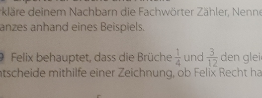 dkläre deinem Nachbarn die Fachwörter Zähler, Nenne 
anzes anhand eines Beispiels. 
9 Felix behauptet, dass die Brüche  1/4  und  3/12  den glei 
ntscheide mithilfe einer Zeichnung, ob Felix Recht ha