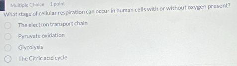 What stage of cellular respiration can occur in human cells with or without oxygen present?
The electron transport chain
Pyruvate oxidation
Glycolysis
The Citric acid cycle
