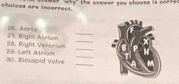 unswer "why" the answer you choose is corre. 
choices are incorrect. 
_ 
26. Aarta 
_ 
27. Right Atrium 
_ 
28. Right Ventrium 
_ 
29. Left Atrium 
30. Bicuspid Valve_