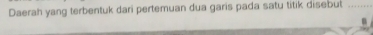 Daerah yang terbentuk dari pertemuan dua garis pada satu titik disebut_