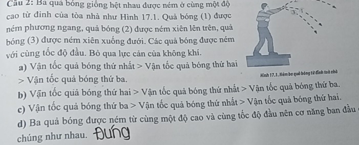 Cầu 2: Ba quả bóng giống hệt nhau được ném ở cùng một độ
cao từ đỉnh của tòa nhà như Hình 17.1. Quả bóng (1) được
ném phương ngang, quả bóng (2) được ném xiên lên trên, quả
bóng (3) được ném xiên xuống đưới. Các quả bóng được ném
với cùng tốc độ đầu. Bỏ qua lực cản của không khí.
a) Vận tốc quả bóng thứ nhất > Vận tốc quả bóng thứ hai
> Vận tốc quả bóng thứ ba. 
b) Vận tốc quả bóng thứ hai > Vận tốc quả bóng thứ nhất > Vận tốc quả bóng thứ ba.
c) Vận tốc quả bóng thứ ba > Vận tốc quả bóng thứ nhất > Vận tốc quả bóng thứ hai.
d) Ba quả bóng được ném từ cùng một độ cao và cùng tốc độ đầu nên cơ năng ban đầu
chúng như nhau.