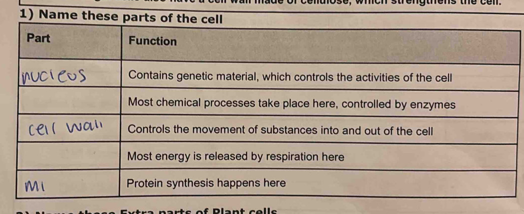 Plant colle