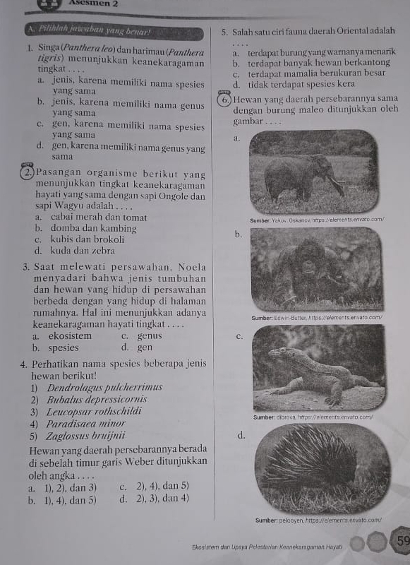 Asesmen 2
X. Pilihlah jawaban yang benar! 5. Salah satu ciri fauna daerah Oriental adalah
1. Singa (Panthera leo) dan harimau (Panthera a. terdapat burung yang warnanya menarik
tigris) menunjukkan keanekaragaman
tingkat . . . . b. terdapat banyak hewan berkantong
a. jenis, karena memiliki nama spesies c. terdapat mamalia berukuran besar
yang sama d. tidak terdapat spesies kera
b. jenis, karena memiliki nama genus 6.)Hewan yang daerah persebarannya sama
yang sama dengan burung maleo ditunjukkan oleh
c. gen, karena memiliki nama spesies gambar . . . .
yang sama
d. gen, karena memiliki nama genus yang
sama
2.)Pasangan organisme berikut yang
menunjukkan tingkat keanekaragaman
hayati yang sama dengan sapi Ongole dan
sapi Wagyu adalah . . . .
a. cabai merah dan tomat Sumber:Yakv Oskanov. hrtps.//elements envato.com/
b. domba dan kambing
b.
c. kubis dan brokoli
d. kuda dan zebra
3. Saat melewati persawahan, Noela
menyadari bahwa jenis tumbuhan
dan hewan vang hidup di persawahan
berbeda dengan vang hidup di halaman
rumahnya. Hal ini menunjukkan adanya
keanekaragaman hayati tingkat . . . . Sumber: Edwin-Butter, https://elements. envato.com/
a. ekosistem c. genus c.
b. spesies d. gen
4. Perhatikan nama spesies beberapa jenis
hewan berikut!
1) Dendrolagus pulcherrimus
2) Bubalus depressicornis
3) Leucopsar rothschildi
4) Paradisaea minor Sumber: dibrova, https://elements envato.comr/
5) Zaglossus bruijnii d.
Hewan yang daerah persebarannya berada
di sebelah timur garis Weber ditunjukkan
oleh angka . . . .
a. 1), 2), dan 3) c. 2), 4), dan 5)
b. 1), 4), dan 5) d. 2), 3), dan 4)
Sumber: pelooyer, https://elements envato.com/
Ekosistem dan Lipaya Pelestarian Keanekaragaman Hayati 59