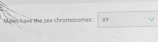 Males have the sex chromosomes : XY
V