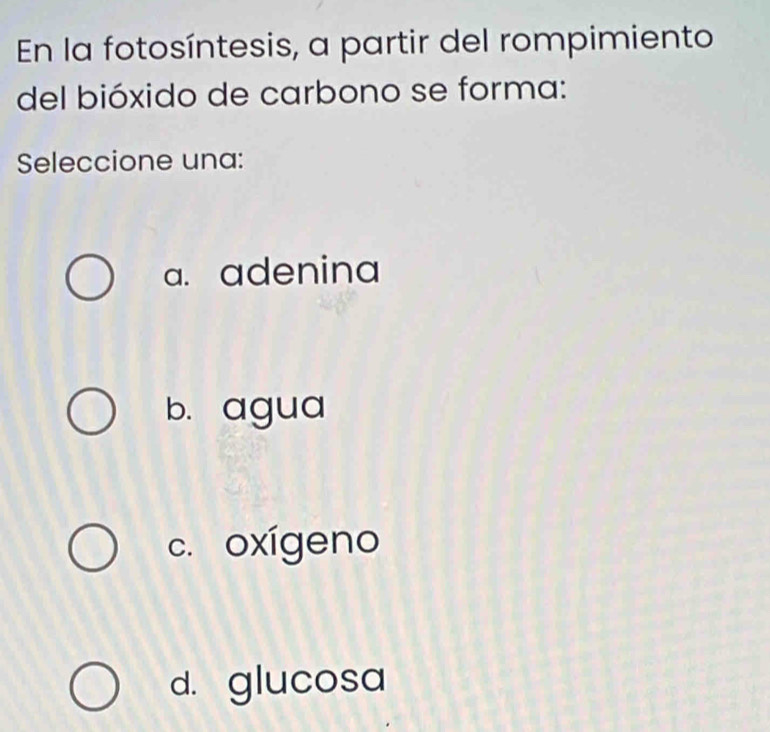 En la fotosíntesis, a partir del rompimiento
del bióxido de carbono se forma:
Seleccione una:
a. adenina
b. agua
c. oxígeno
d. glucosa