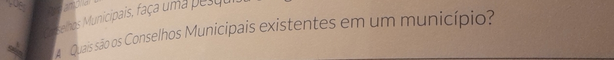 Pore amplial 
Conselhos Municipais, faça uma pes qa 
AQuais são os Conselhos Municipais existentes em um município?