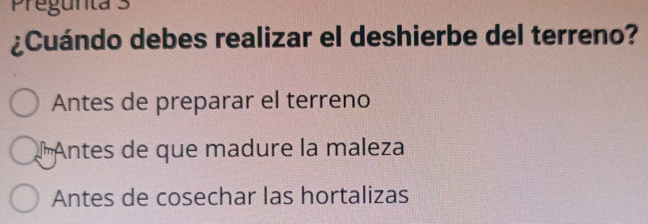 Pregunta 3
¿Cuándo debes realizar el deshierbe del terreno?
Antes de preparar el terreno
Antes de que madure la maleza
Antes de cosechar las hortalizas