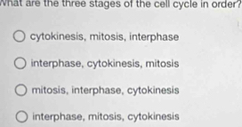 What are the three stages of the cell cycle in order?
cytokinesis, mitosis, interphase
interphase, cytokinesis, mitosis
mitosis, interphase, cytokinesis
interphase, mitosis, cytokinesis