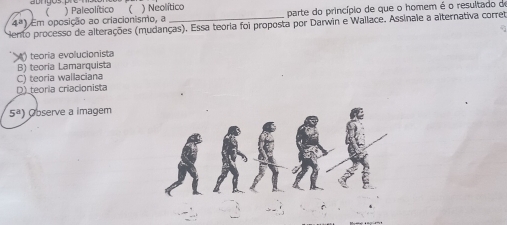 ) Paleolítico ( ) Neolítico
4^a) Em oposição ao criacionismo, a parte do princípio de que o homem é o resultado d
Hento processo de alterações (mudanças). Essa teoria foi proposta por Darwin e Wallace. Assinale a alternativa corret
) teoria evolucionista
B) teoría Lamarquista
C) teoria wallaciana
D) teoria criacionista
5^a) bserve a imagem