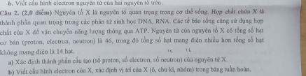 Viết cầu hình electron nguyên tử của hai nguyên tố trên. 
Câu 2. (2,0 điểm) Nguyên tổ X là nguyên tổ quan trọng trong cơ thể sống. Hợp chất chứa X là 
pthành phần quan trọng trong các phân tử sinh học DNA, RNA. Các tế bảo sống cũng sử dụng hợp 
chất của X đề vận chuyễn năng lượng thông qua ATP. Nguyên tứ của nguyên tổ X có tổng số hạt 
cơ bán (proton, electron, neutron) là 46, trong đó tổng số hạt mang điện nhiều hơn tổng số hạt 
không mang điện là 14 hạt. 1 
a) Xác định thành phần cầu tạo (số proton, số electron, số neutron) của nguyên từ X. 
b) Viết cầu hình electron của X, xác định vị trí của X (ô, chu kì, nhóm) trong bảng tuần hoàn.