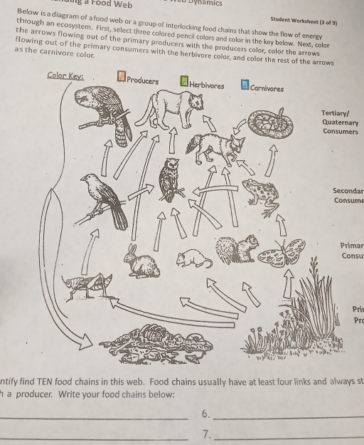 Solved: ng a Food Web D ynamics Student Worksheet (3 of 9) Below is a ...