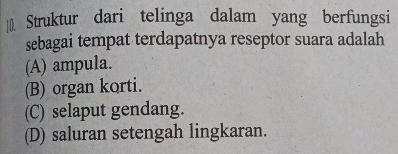 Struktur dari telinga dalam yang berfungsi
sebagai tempat terdapatnya reseptor suara adalah
(A) ampula.
(B) organ korti.
(C) selaput gendang.
(D) saluran setengah lingkaran.