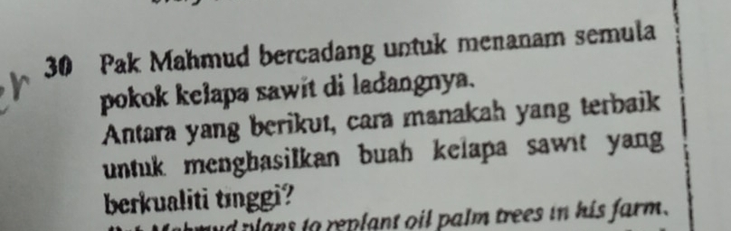 Pak Mahmud bercadang untuk menanam semula 
pokok kelapa sawit di ladangnya. 
Antara yang berikut, cara manakah yang terbaik 
untuk mengbasilkan buah kelapa sawit yang 
berkualiti tɪnggi? 
plans to replant oil palm trees in his farm.