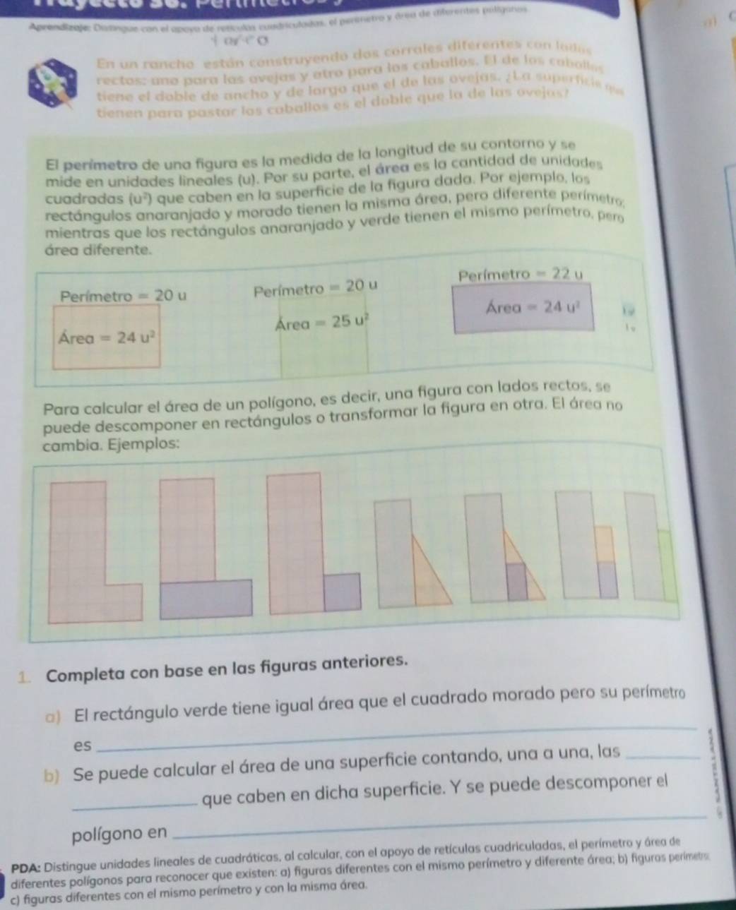 Aprendizale: Distinique con el apoya de resculas cundriculadas, el peremetro y área de aiterentes poligaños
1y^2-c^2 □
En un rancho están construyendo dos corrales diférentes con ladas
rectos: una para las avejas y atro para los caballos. El de los caballes
tiene e l dob le de ancho y de lorgo  que el de las ovejas. ¿ La super fc e 
tienen para pastar los caballos es el doble que la de las ovejas?
El perímetro de una figura es la medida de la longitud de su contorno y se
mide en unidades lineales (u). Por su parte, el área es la cantidad de unidades
cuadradas (u^2) que caben en la superficie de la figura dada. Por ejemplo, los
rectángulos anaranjado y morado tienen la misma área, pero diferente perímetro;
mientras que los rectángulos anaranjado y verde tienen el mismo perímetro, pero
área diferente.
Perímetro -22u
Perímetro =20u Perímetro =20u
Área =24u^2 19
Área =25u^2
1 。
Área =24u^2
Para calcular el área de un polígono, es decir, una figura con lados rectos, se
puede descomponer en rectángulos o transformar la figura en otra. El área no
cambia. Ejemplos:
1. Completa con base en las figuras anteriores.
_
) El rectángulo verde tiene igual área que el cuadrado morado pero su perímetro
es
b) Se puede calcular el área de una superficie contando, una a una, las_
_que caben en dicha superficie. Y se puede descomponer el
  
_s
polígono en
PDA: Distingue unidades lineales de cuadráticas, al calcular, con el apoyo de retículas cuadriculadas, el perímetro y área de
diferentes polígonos para reconocer que existen: a) figuras diferentes con el mismo perímetro y diferente área; b) figuros perímeto
c) figuras diferentes con el mismo perímetro y con la misma área.