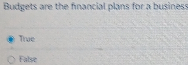 Budgets are the financial plans for a business
True
False