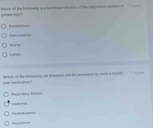 Which of the following is a bacterial infection of the respiratory system in 4 gousts
guinea pigs?
Bordetellosis
Salmonellosis
Scurvy
Lumps
Which of the following cat diseases can be prevented by once-a-month 4 points
oral medication?
Respiratory disease
Leukemia
Panleukopenia
Heartworm