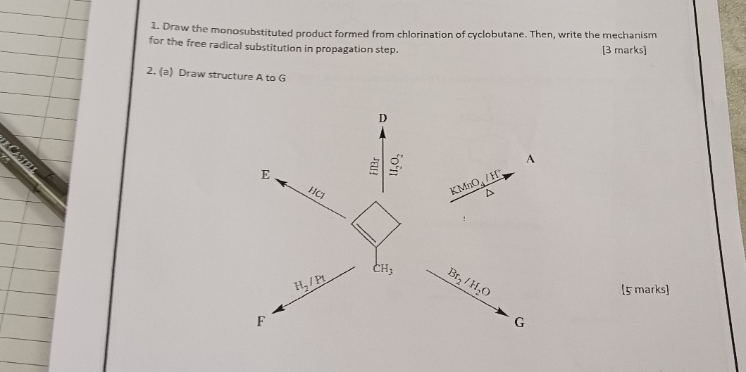 Draw the monosubstituted product formed from chlorination of cyclobutane. Then, write the mechanism 
for the free radical substitution in propagation step. [3 marks] 
2. (a) Draw structure A to G
D
E
2 2x
A 
5 _ CMnO_4/H^+
HCl
D
H_2/Pt
CH_3 Br_2/H_2O
[5 marks]
F
G