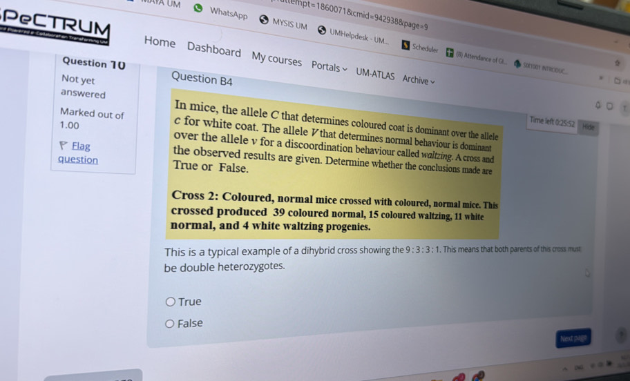 =1860 071&cmid=942938&page=9
WhatsApp MYSIS UM UMHelpdesk - UM....
PeCTRUM Home Dashboard My courses Portals~ UM-ATLAS Archive
Scheduler (8) Attendance of G... SON1001 INTRICOUC
Question 10 Question B4
Not yet
answered In mice, the allele C that determines coloured coat is dominant over the allele
Time left 0:25:52 Hide
Marked out of c for white coat. The allele ½that determines normal behaviour is dominant
1.00 over the allele v for a discoordination behaviour called waltzing. A cross and
P Flag the observed results are given. Determine whether the conclusions made are
question True or False.
Cross 2 : Coloured, normal mice crossed with coloured, normal mice. This
crossed produced 39 coloured normal, 15 coloured waltzing, 11 white
normal, and 4 white waltzing progenies.
This is a typical example of a dihybrid cross showing the 9:3:3:1. This means that both parents of this cross must
be double heterozygotes.
True
False
Next pago