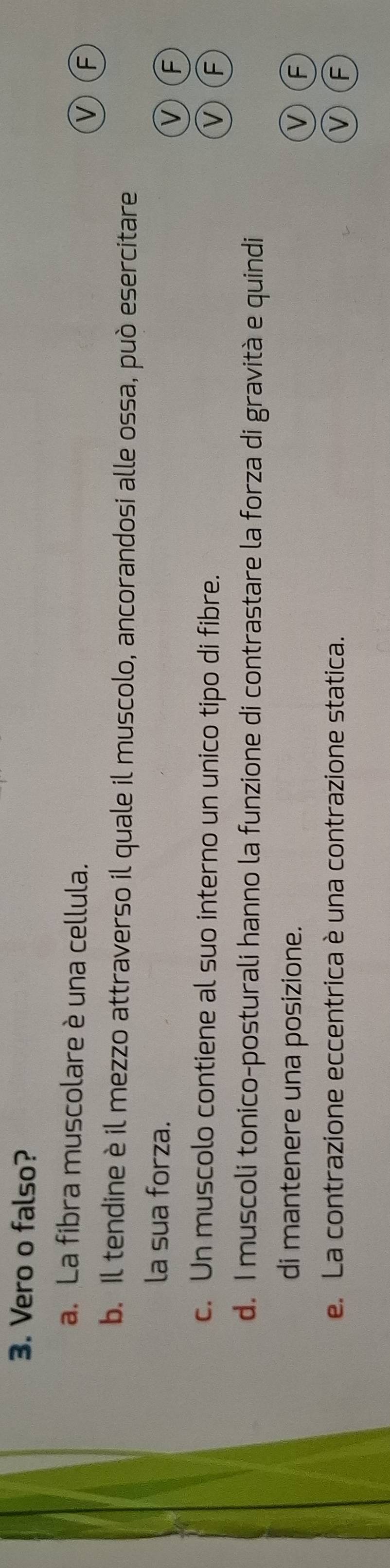 Vero o falso?
a. La fibra muscolare è una cellula.
VF
b. Il tendine è il mezzo attraverso il quale il muscolo, ancorandosi alle ossa, può esercitare
la sua forza.
VF
c. Un muscolo contiene al suo interno un unico tipo di fibre. VF
d. I muscoli tonico-posturali hanno la funzione di contrastare la forza di gravità e quindi
di mantenere una posizione. VF
e. La contrazione eccentrica è una contrazione statica.
VF