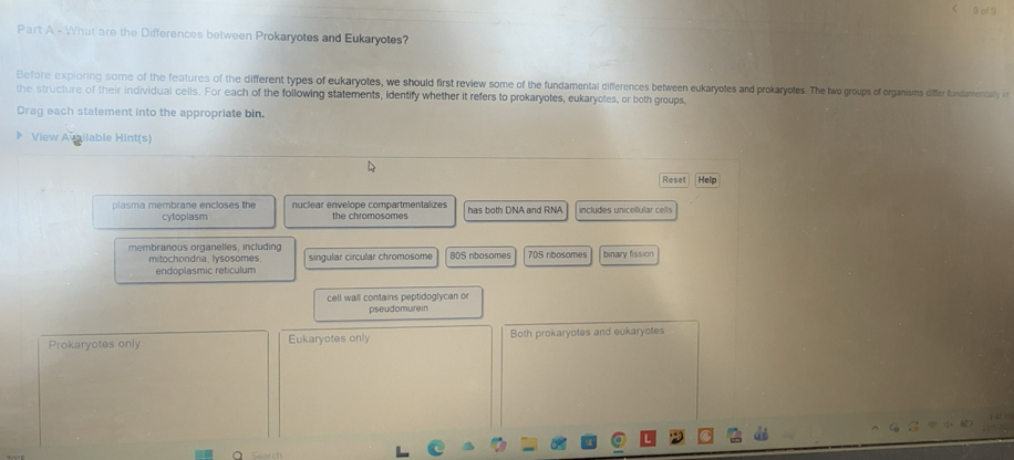 Solved: What are the Differences between Prokaryotes and Eukaryotes ...