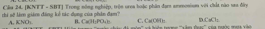 [KNTT - SBT] Trong nông nghiệp, trộn urea hoặc phân đạm ammonium với chất nào sau đây
thì sẽ làm giảm đáng kể tác dụng của phân đạm?
A. KNO_3. B. Ca(H_2PO_4)_2. C. Ca(OH)_2. D. CaCl_2. 
ương 'nước chây đá mòn' và hiện tượng “xâm thực” của nước mưa vào