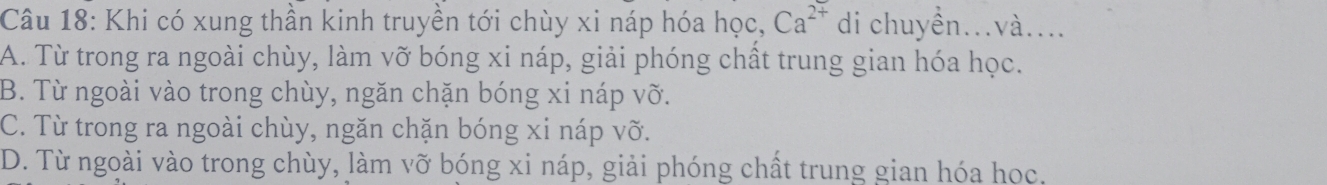 Khi có xung thần kinh truyền tới chùy xi náp hóa học, Ca^(2+) di chuyền...và....
A. Từ trong ra ngoài chùy, làm vỡ bóng xi náp, giải phóng chất trung gian hóa học.
B. Từ ngoài vào trong chùy, ngăn chặn bóng xi náp vỡ.
C. Từ trong ra ngoài chùy, ngăn chặn bóng xi náp vỡ.
D. Từ ngoài vào trong chùy, làm vỡ bóng xi náp, giải phóng chất trung gian hóa học.