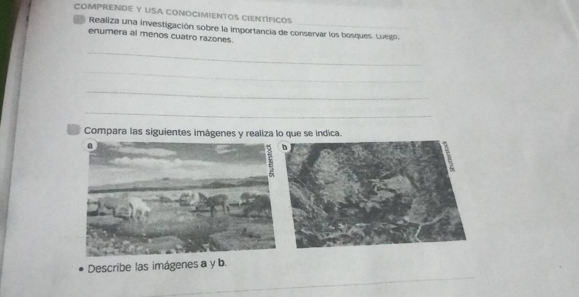 COMPRENDE Y USA CONOCIMIENTOS CIENTÍFICOS 
Realiza una investigación sobre la importancia de conservar los bosques. Luego, 
enumera al menos cuatro razones. 
_ 
_ 
_ 
_ 
Compara las siguientes imágenes y realiza lo que se indica. 
_ 
Describe las imágenes a y b.