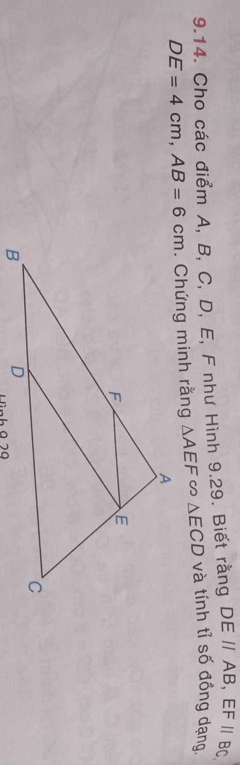 Cho các điểm A, B, C, D, E, F như Hình 9.29. Biết rằng DE//AB, EF//BC
DE=4cm, AB=6cm. Chứng minh rằng △ AEF △ ECD và tính tỉ số đồng dạng. 
Hình 9 29