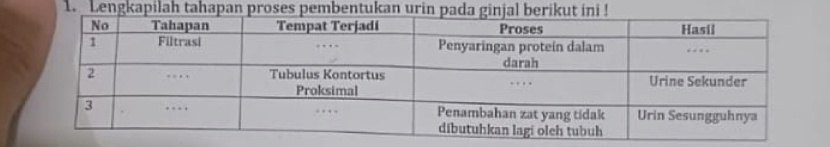 Lengkapilah tahapan proses pembentukan urin pada ginjal berikut ini !