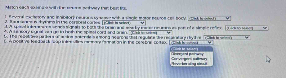 Match each example with the neuron pathway that best fits.
1. Several excitatory and inhibitory neurons synapse with a single motor neuron cell body. [(Click to select)
2. Spontaneous rhythms in the cerebral cortex [ (Click to select)
3. A spinal interneuron sends signals to both the brain and nearby motor neurons as part of a simple reflex. [(Click to select)
4. A sensory signal can go to both the spinal cord and brain. [ (Click to select)
5. The repetitive pattern of action potentials among neurons that regulate the respiratory rhythm (Click to select)
6. A positive feedback loop intensifies memory formation in the cerebral cortex. (Click to select)
(Click to select)
Divergent pathway
Convergent pathway
Reverberating circuit