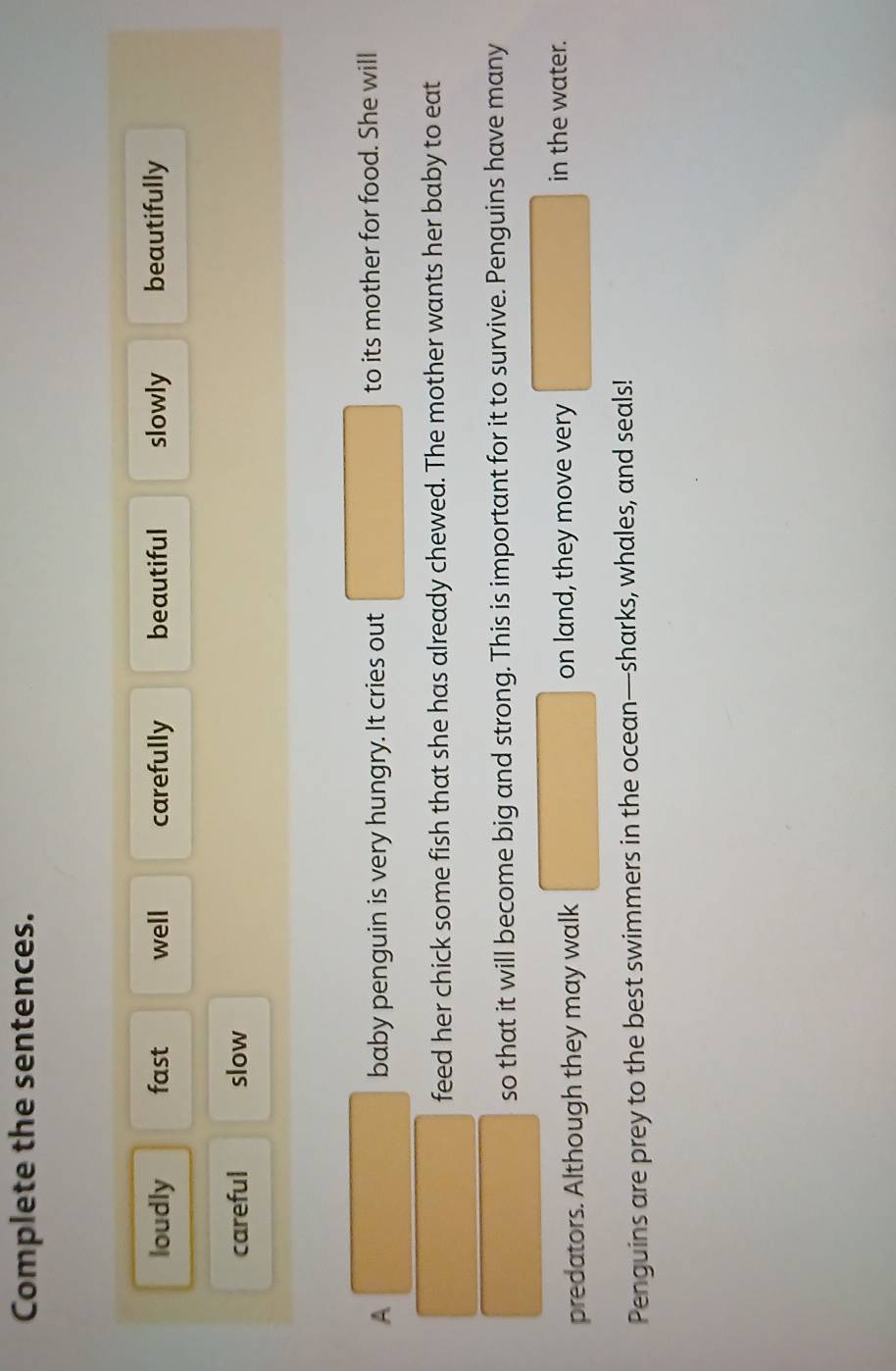 Complete the sentences.
loudly fast well carefully beautiful slowly beautifully
careful slow
A baby penguin is very hungry. It cries out □ to its mother for food. She will^-□  
feed her chick some fish that she has already chewed. The mother wants her baby to eat
so that it will become big and strong. This is important for it to survive. Penguins have many
predators. Although they may walk □ on land, they move very □ in the water.
Penguins are prey to the best swimmers in the ocean—sharks, whales, and seals!