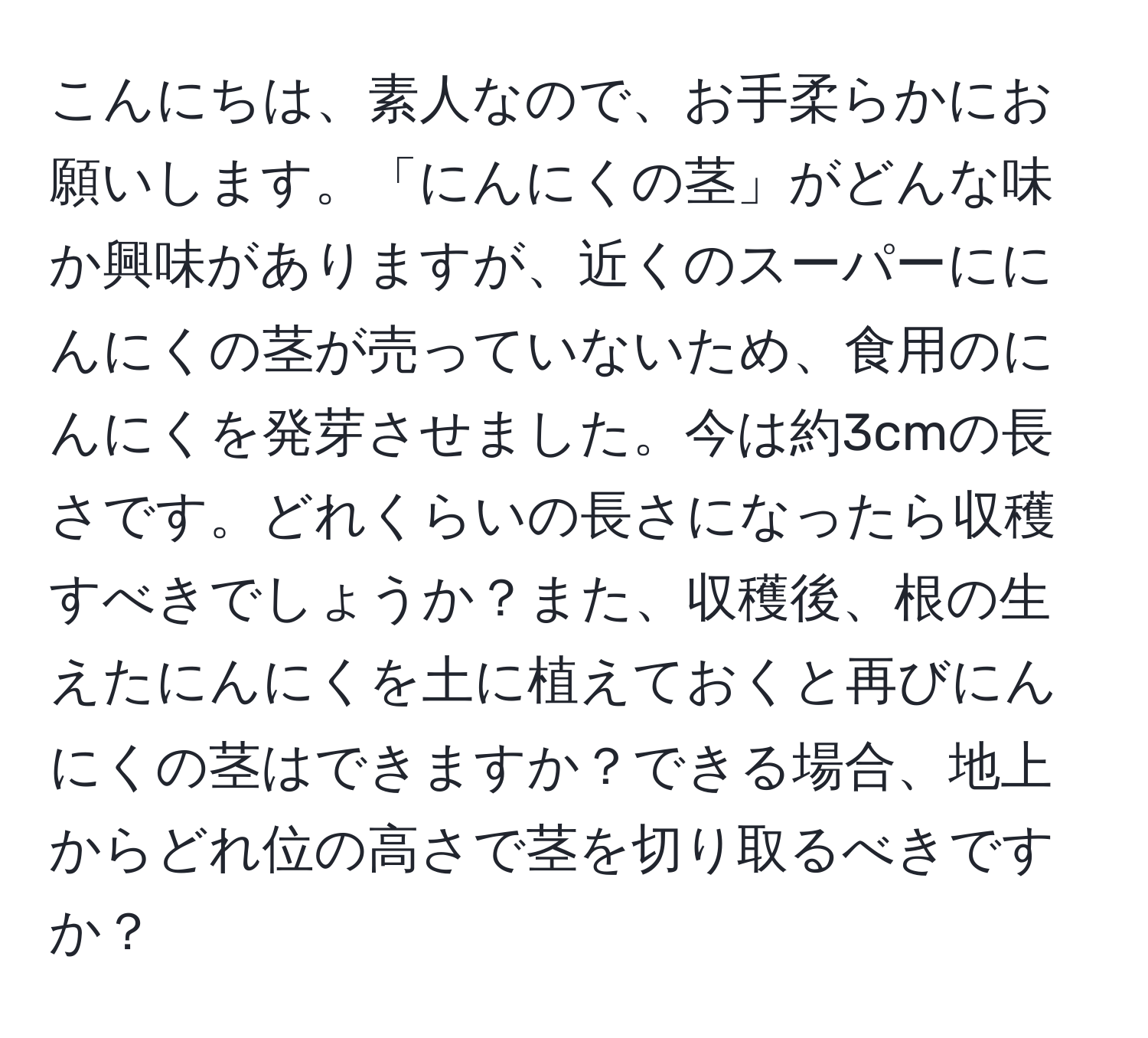 こんにちは、素人なので、お手柔らかにお願いします。「にんにくの茎」がどんな味か興味がありますが、近くのスーパーににんにくの茎が売っていないため、食用のにんにくを発芽させました。今は約3cmの長さです。どれくらいの長さになったら収穫すべきでしょうか？また、収穫後、根の生えたにんにくを土に植えておくと再びにんにくの茎はできますか？できる場合、地上からどれ位の高さで茎を切り取るべきですか？