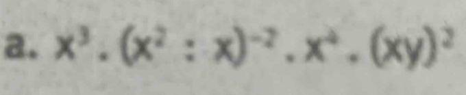 x^3· (x^2:x)^-2· x^4· (xy)^2